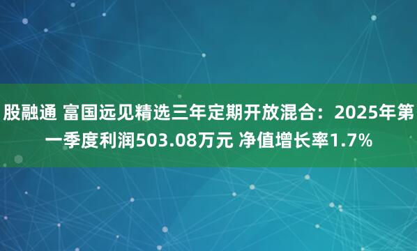 股融通 富国远见精选三年定期开放混合：2025年第一季度利润503.08万元 净值增长率1.7%