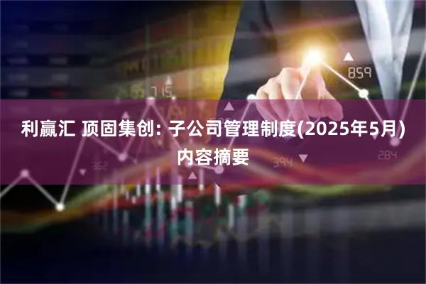 利赢汇 顶固集创: 子公司管理制度(2025年5月)内容摘要