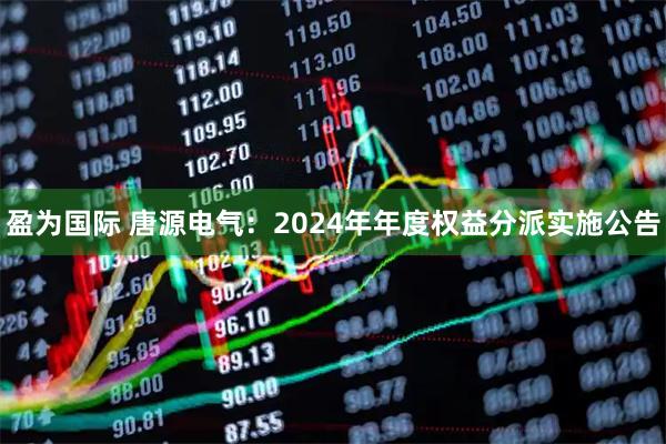 盈为国际 唐源电气：2024年年度权益分派实施公告