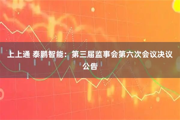 上上通 泰鹏智能：第三届监事会第六次会议决议公告